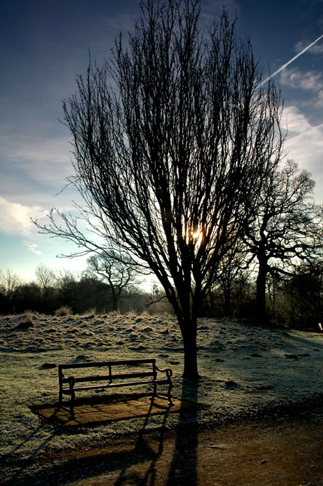 The Park – II