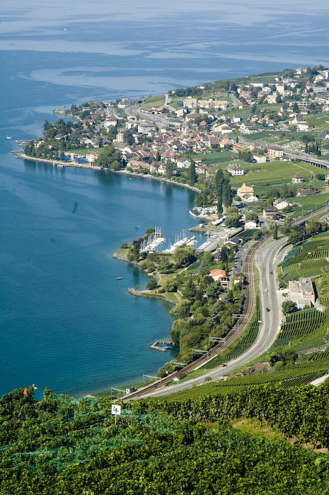 Vinyards