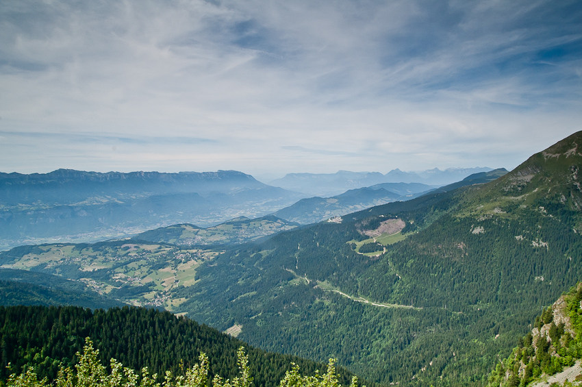 Chartreuse