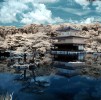 Golden Pavilion
