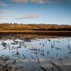 Walking around Wiltshire